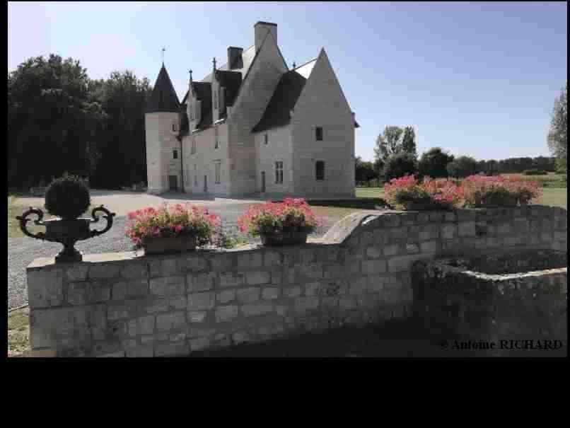Chateau Manoir De Chandoiseau Les-Trois-Moutiers Exterior photo