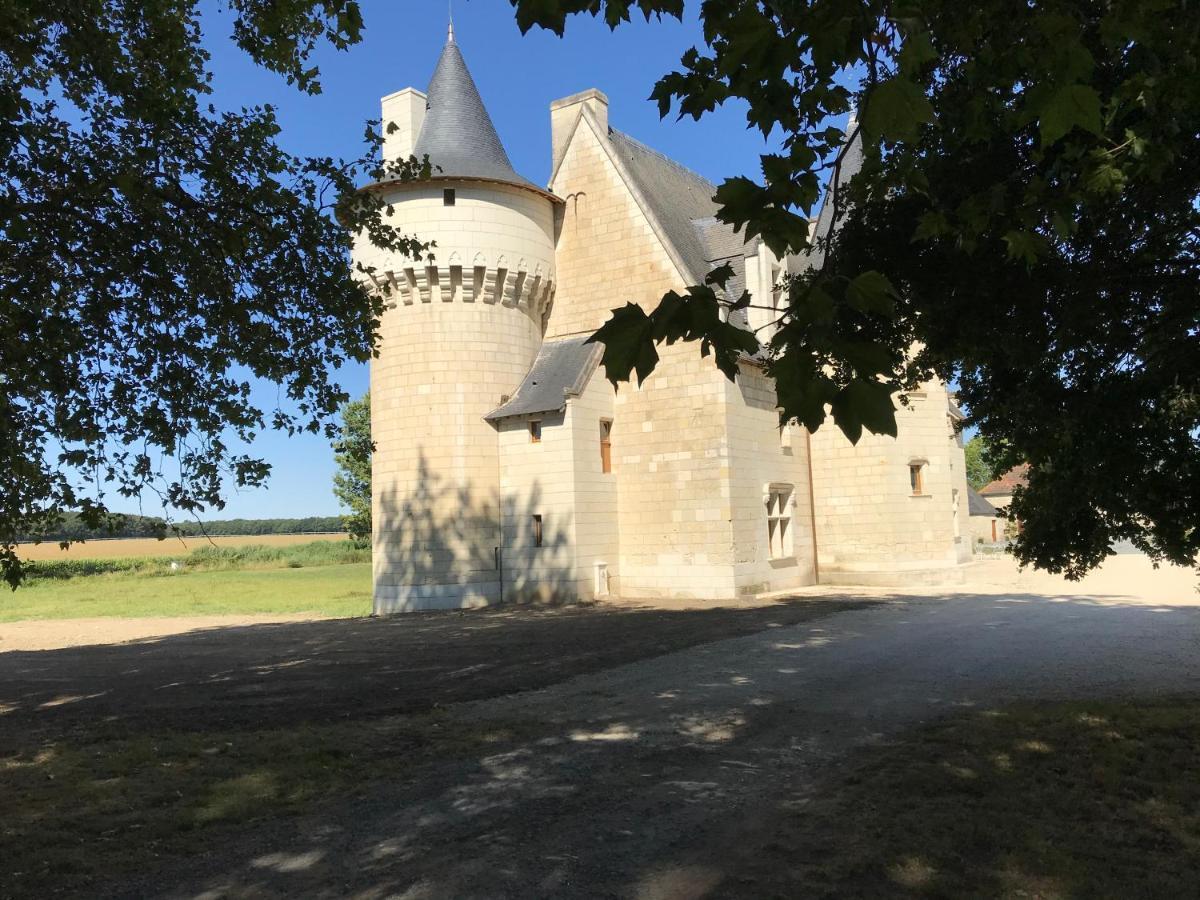 Chateau Manoir De Chandoiseau Les-Trois-Moutiers Exterior photo